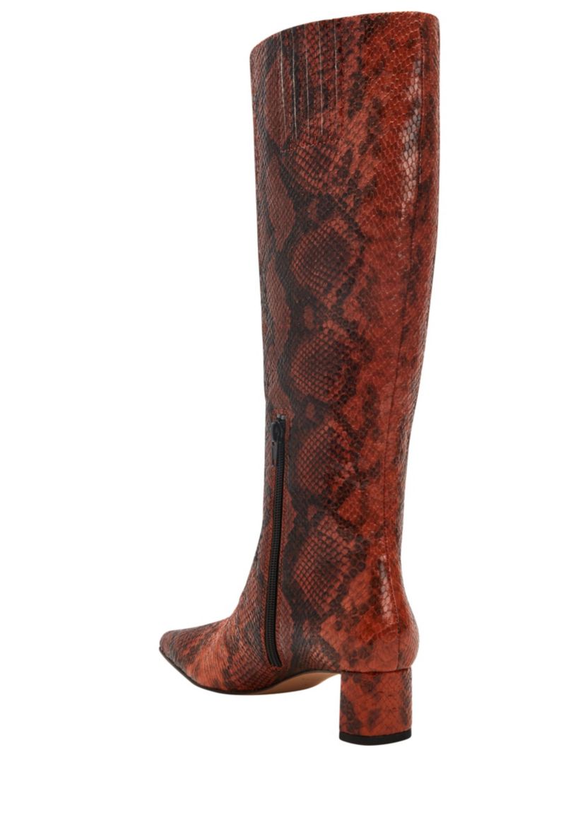THE WANDERERING BOOT