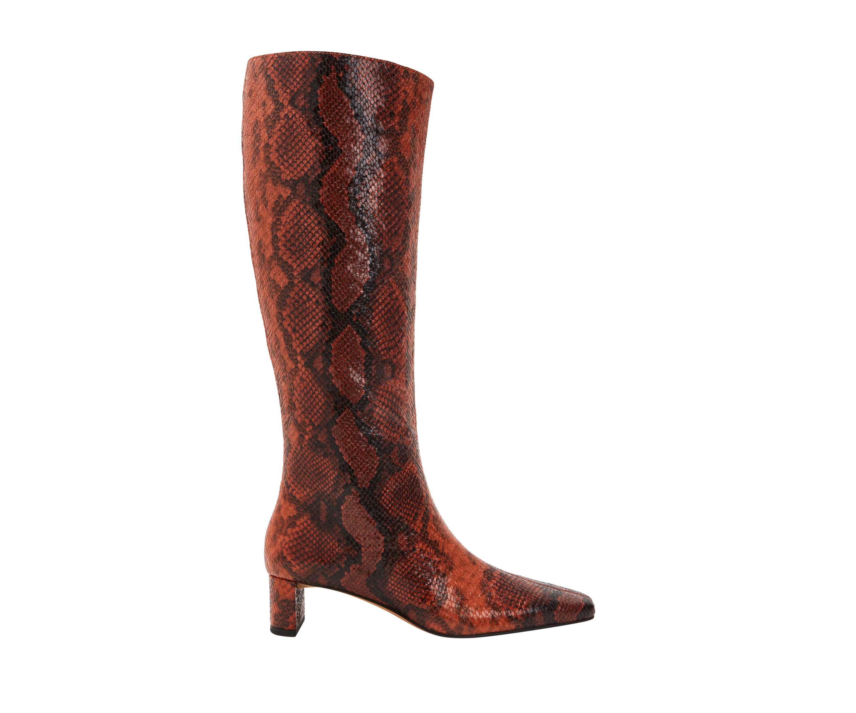 THE WANDERERING BOOT