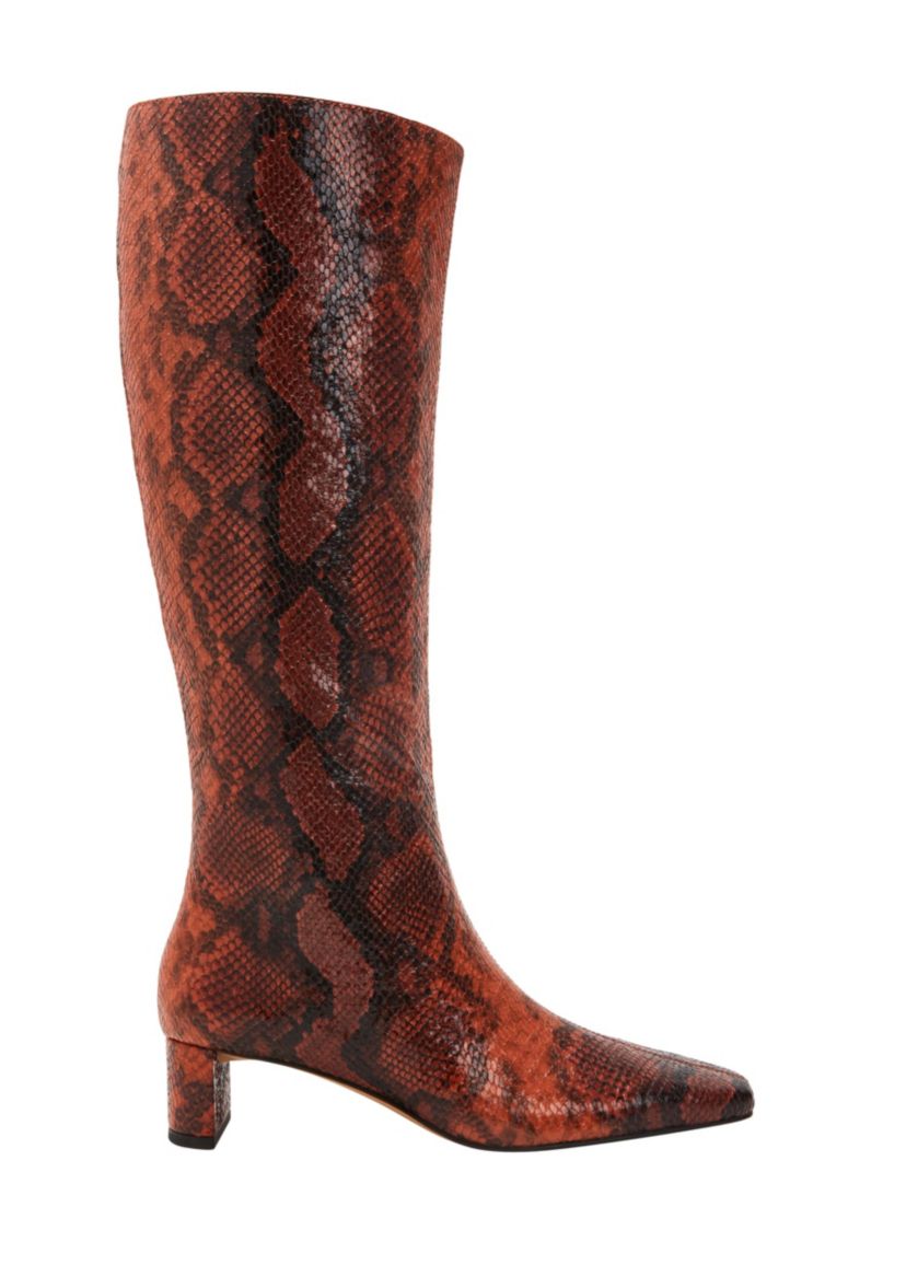 THE WANDERERING BOOT