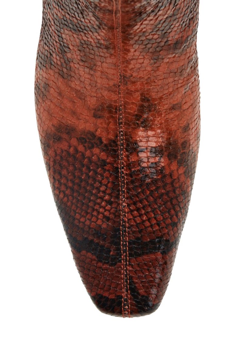 THE WANDERERING BOOT