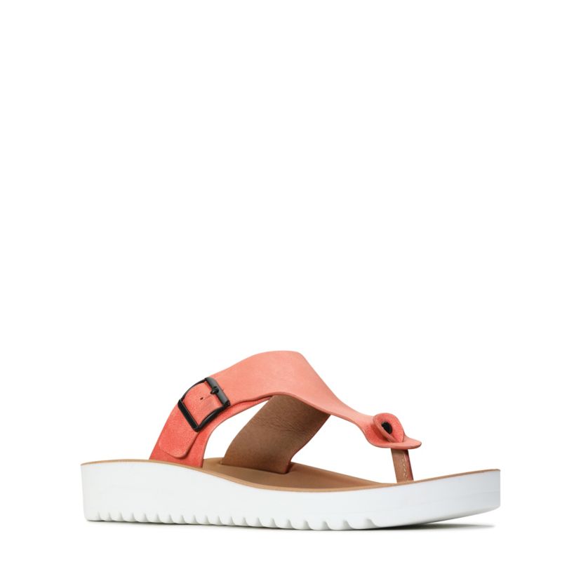Nine Sandals