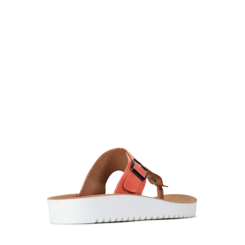 Nine Sandals