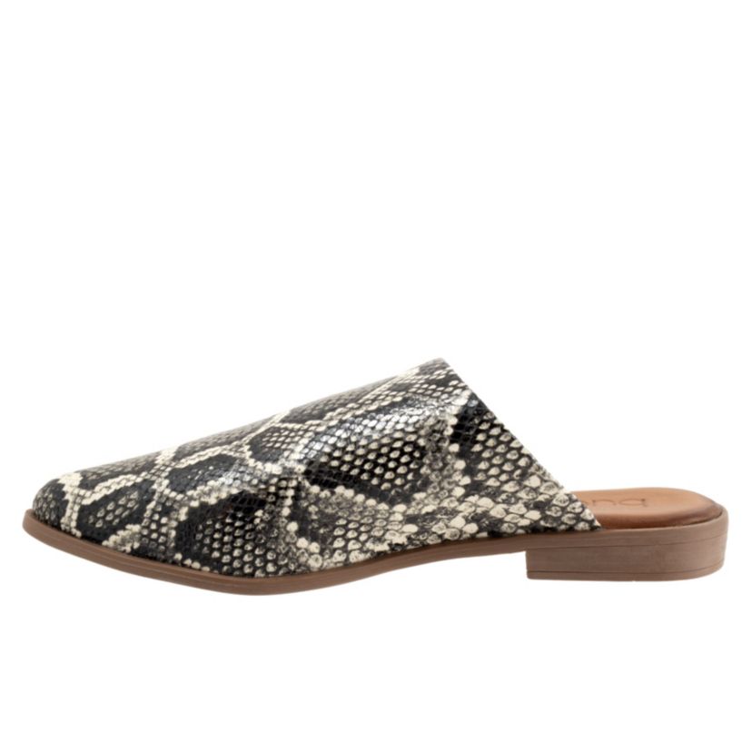 Bambi Flat