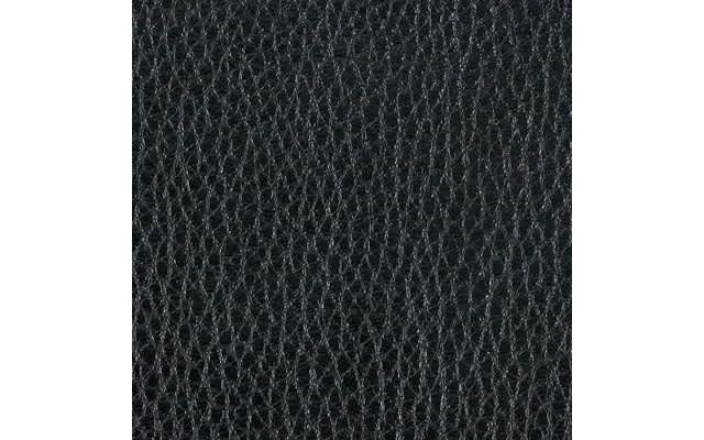 Black Leather