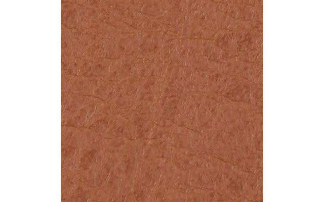 Cognac Leather