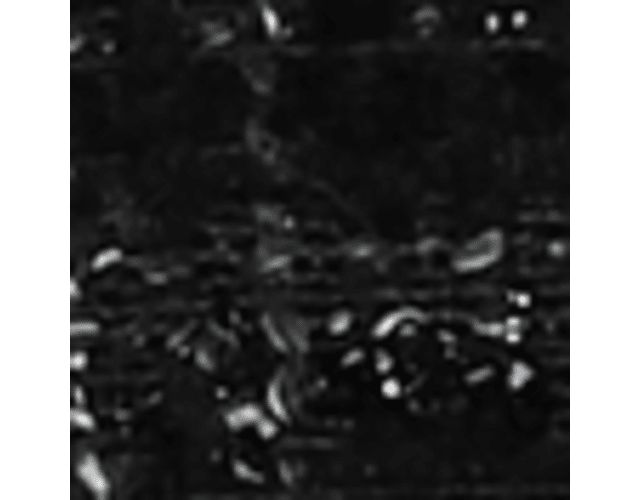Blkwhte