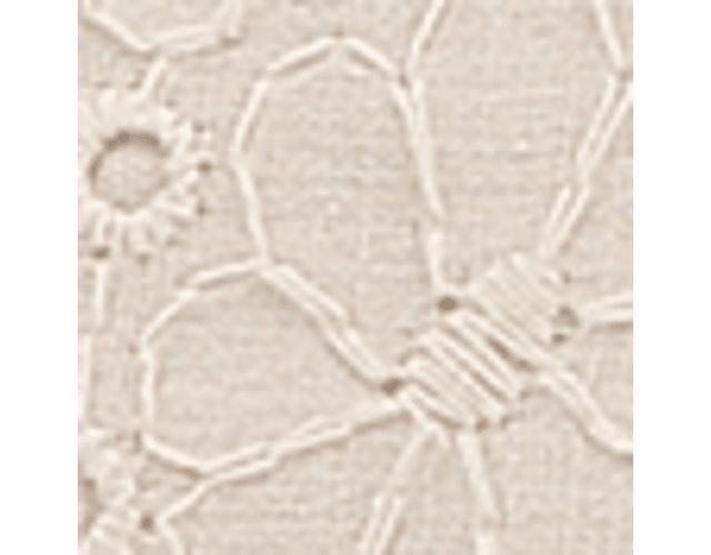 Linen Beige Eyelet Fabric