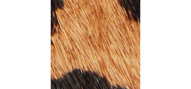 Brown Multi