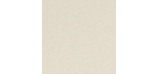 Other Beige