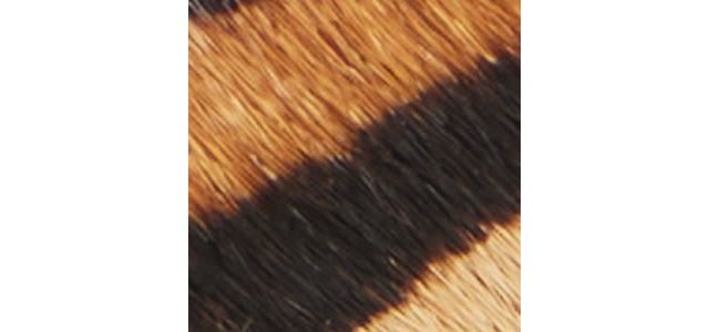 Open Brown