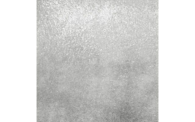 Silver Leather