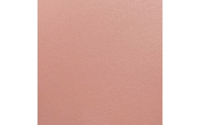 Dusty Rose Leather