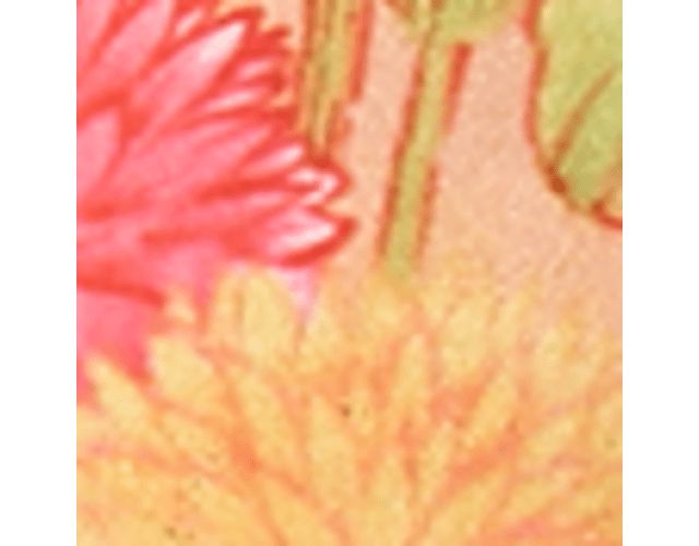 Apricot Haze Floral