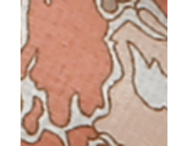 Natural/Blush Floral