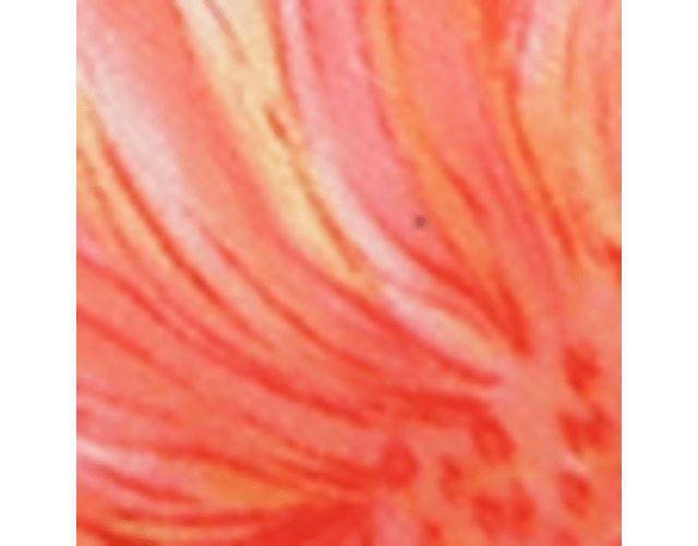 Apricot Haze Floral Satin
