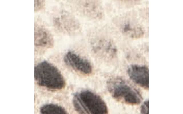 Multi Color Roccia Faux Leather Snake
