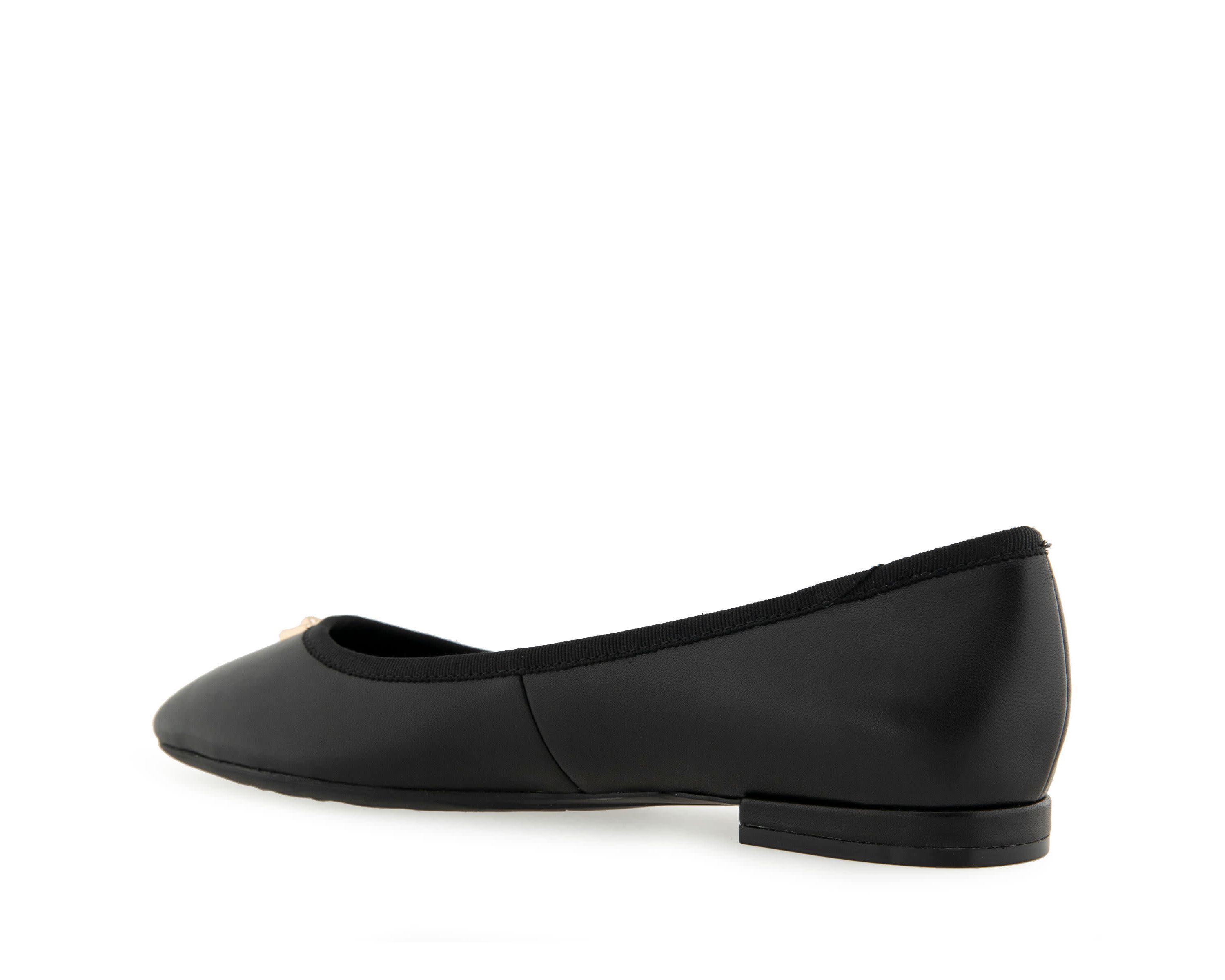 Arena Ballet Flats