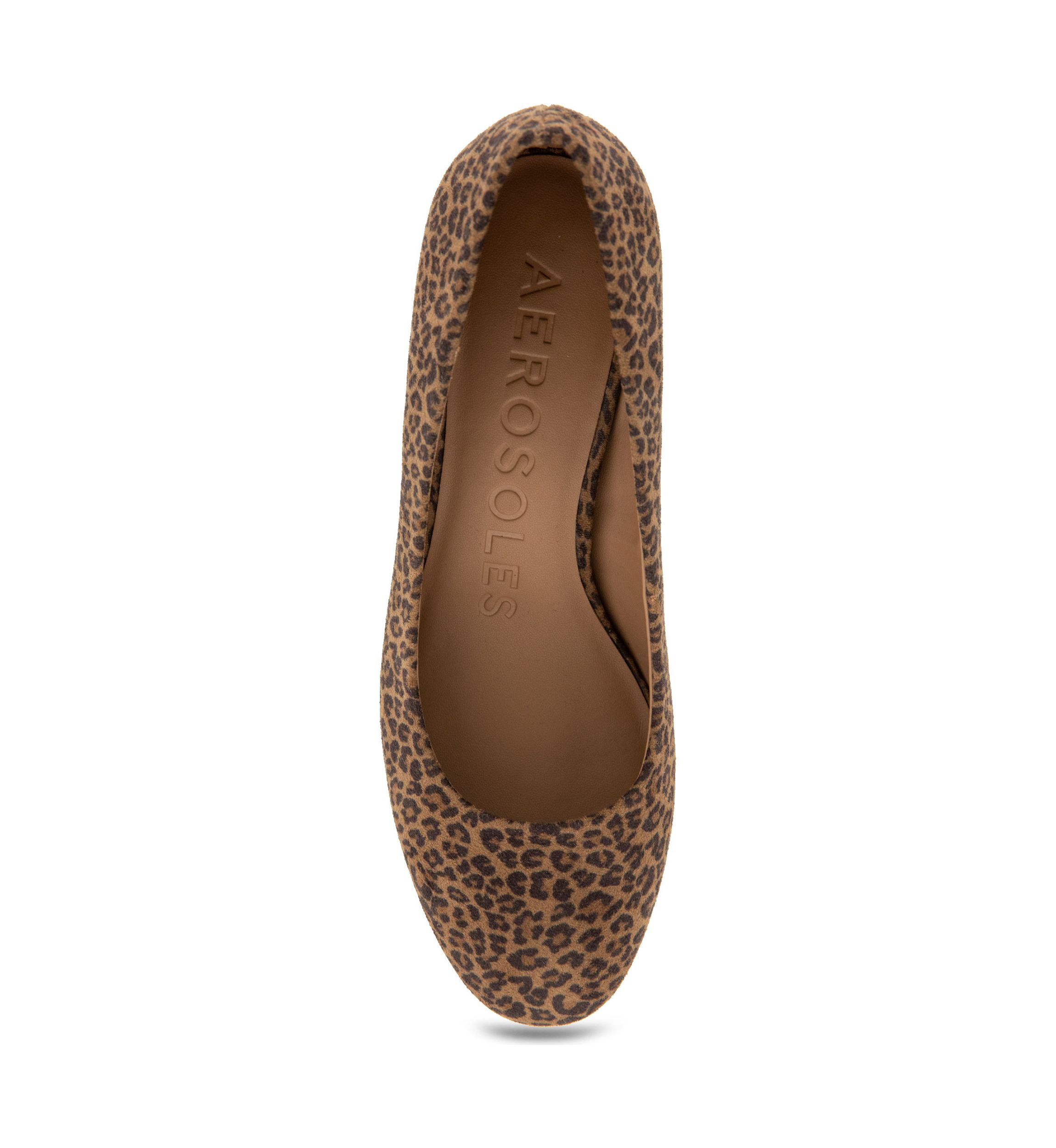 Ebrill Pumps