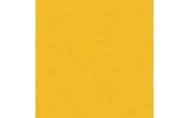 Yellow Freesia
