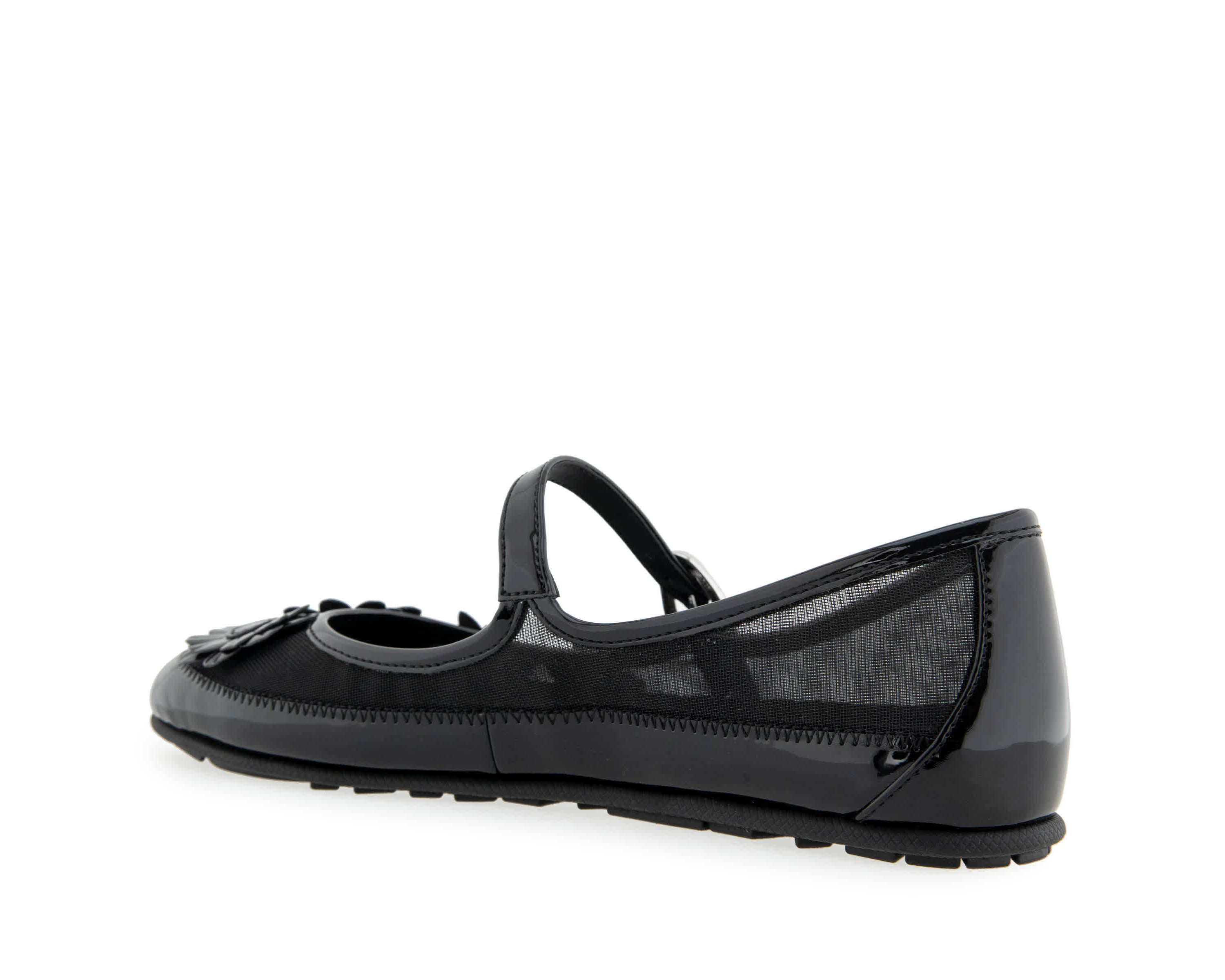 Petal Flats