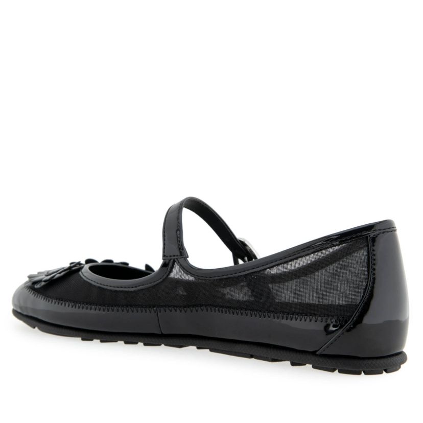 Petal Flats