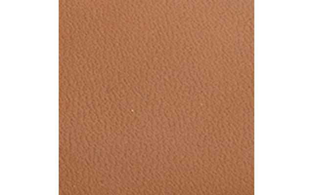 Tan Shiny Leather