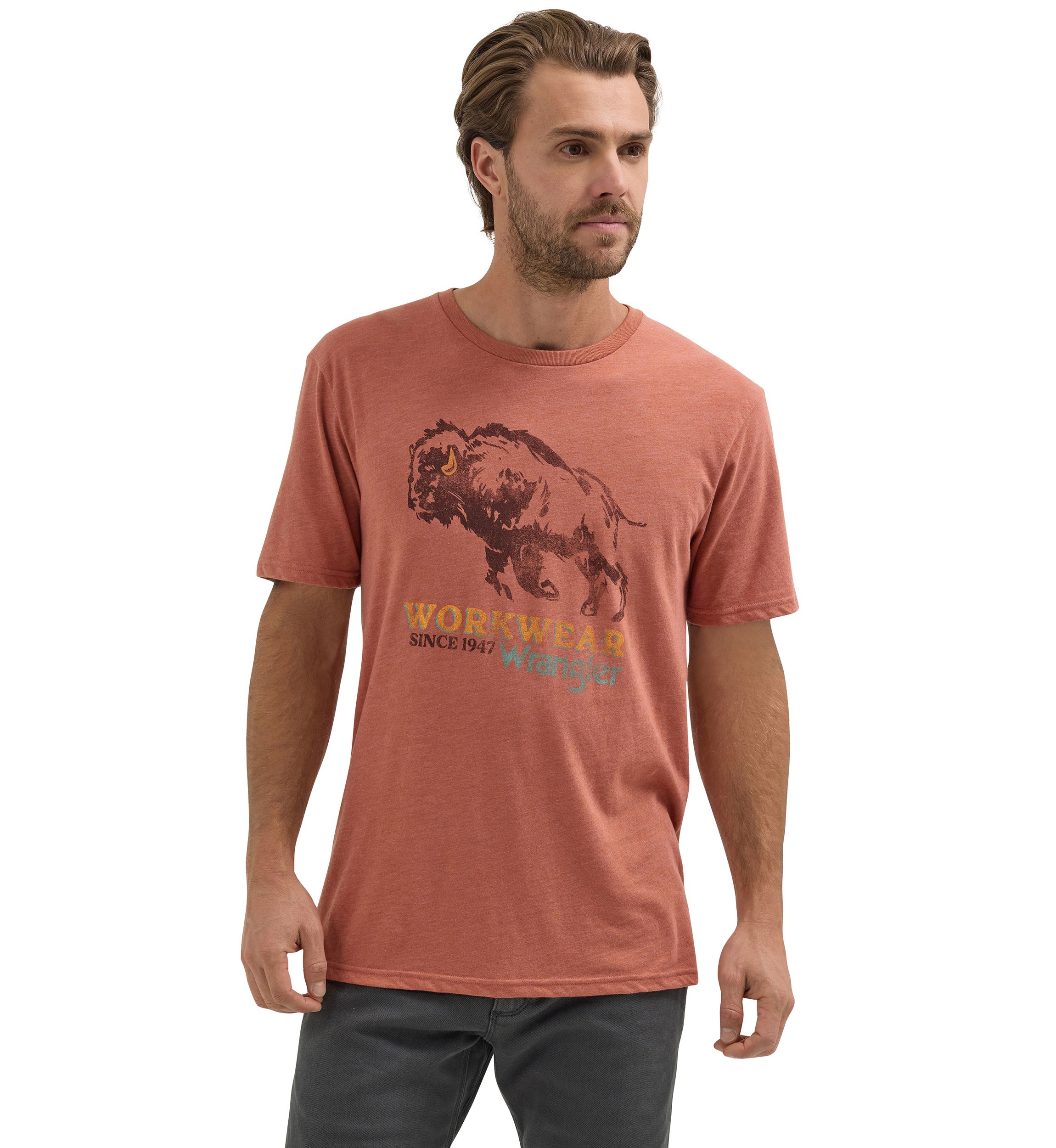 Mens Short Sleeve Graphic T-Shirt