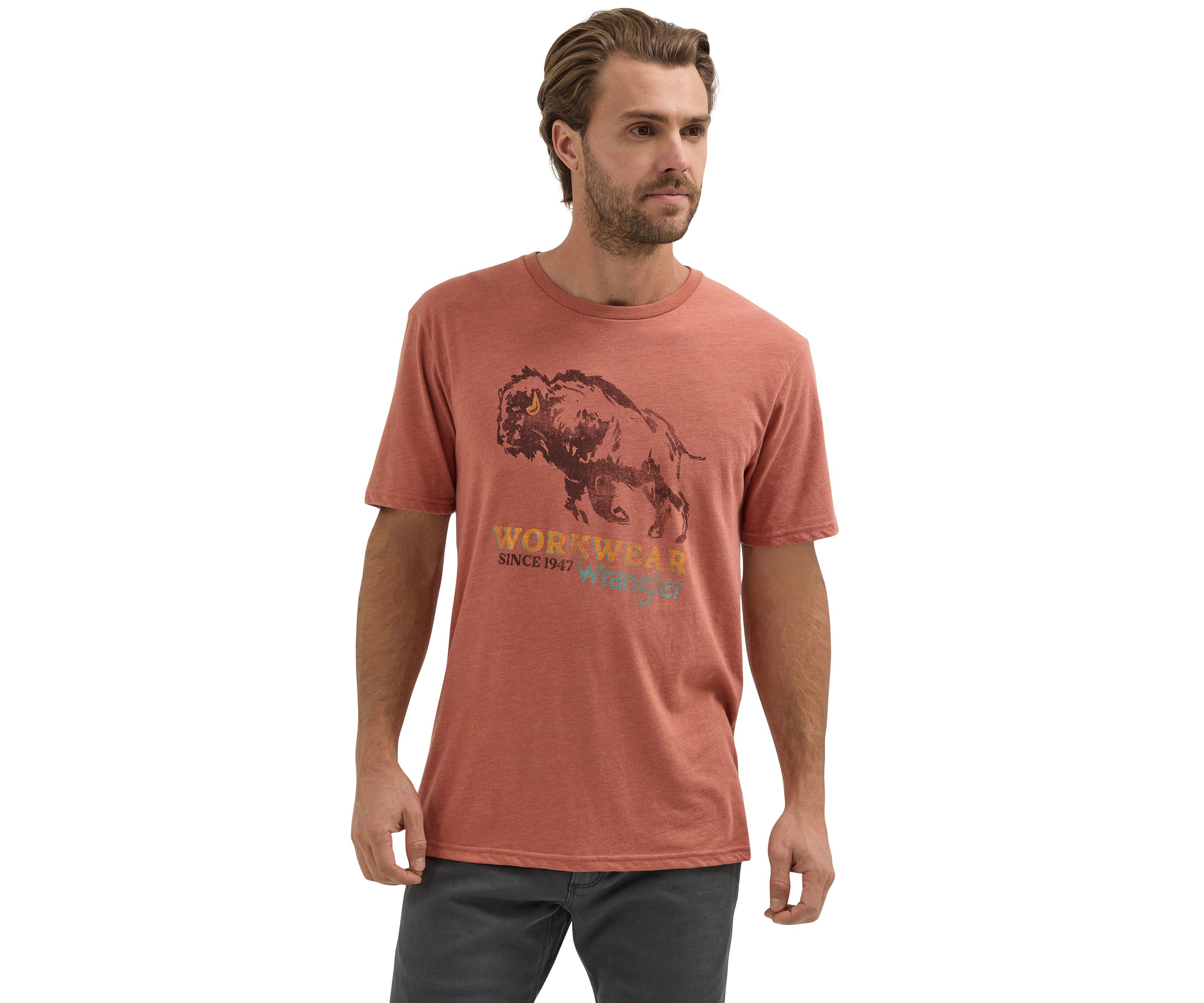 Mens Short Sleeve Graphic T-Shirt