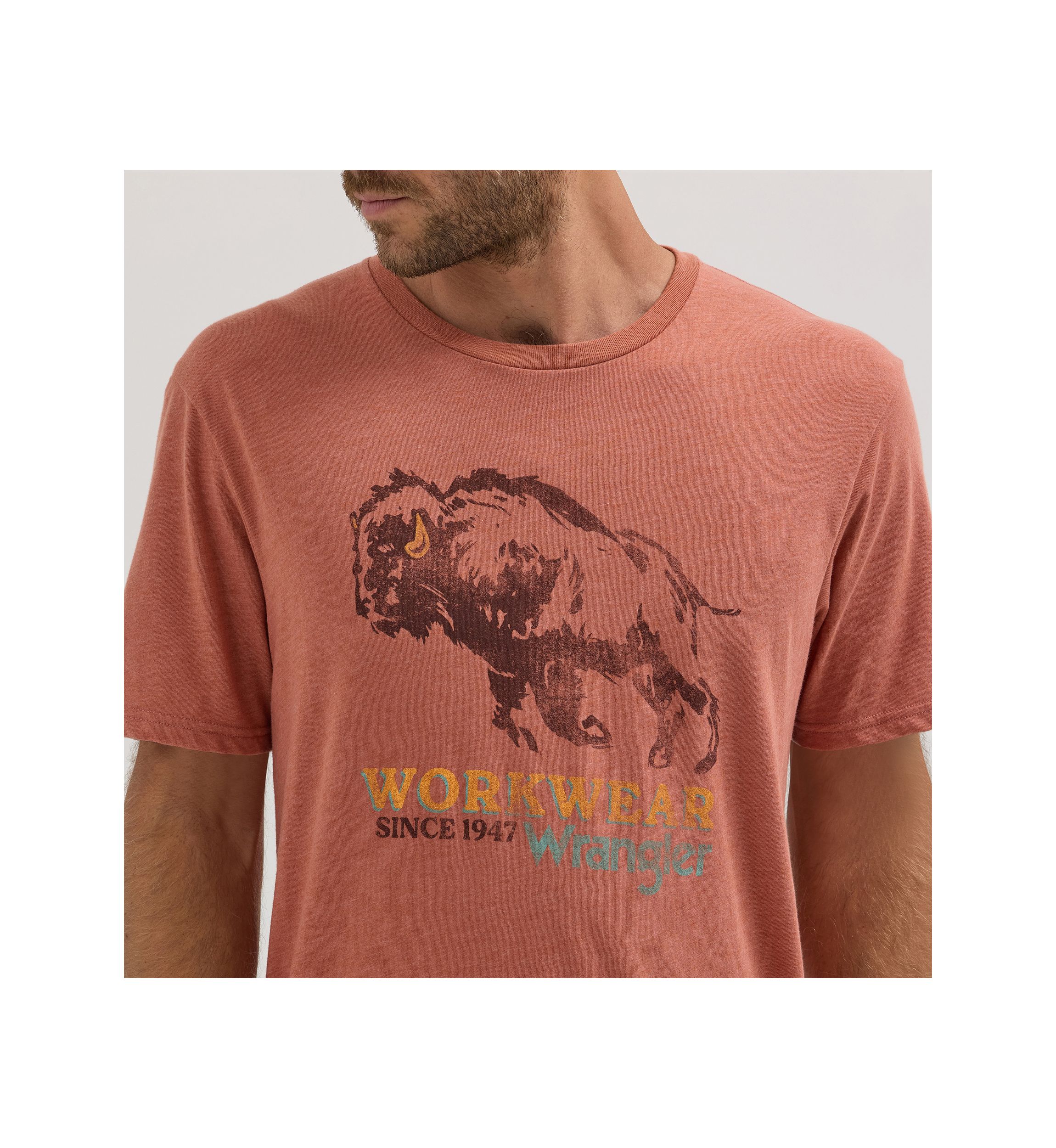 Mens Short Sleeve Graphic T-Shirt