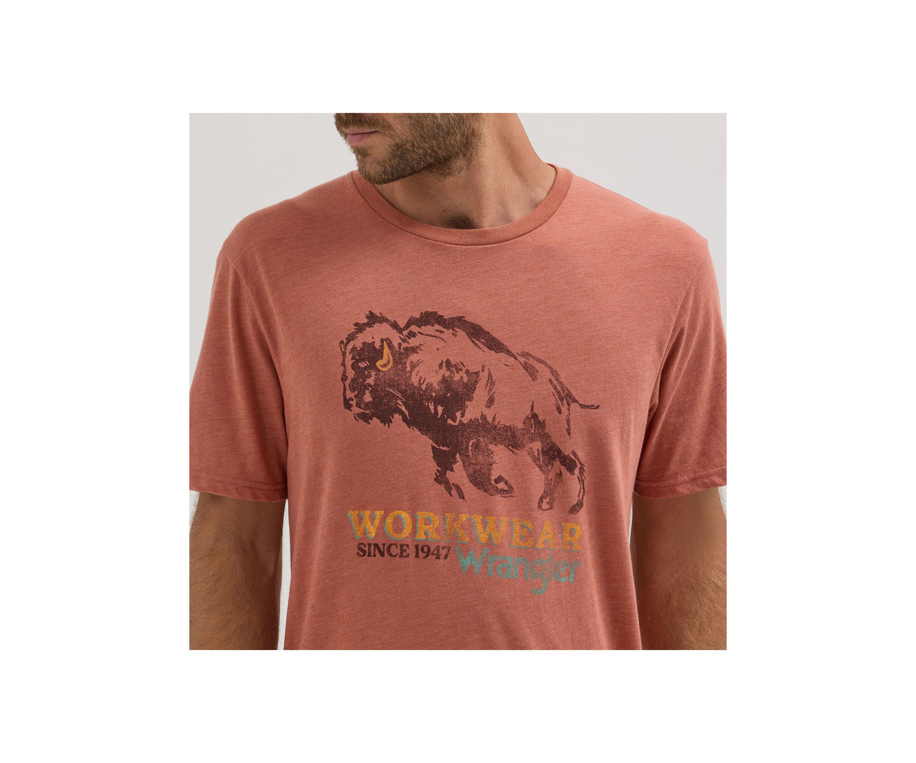 Mens Short Sleeve Graphic T-Shirt