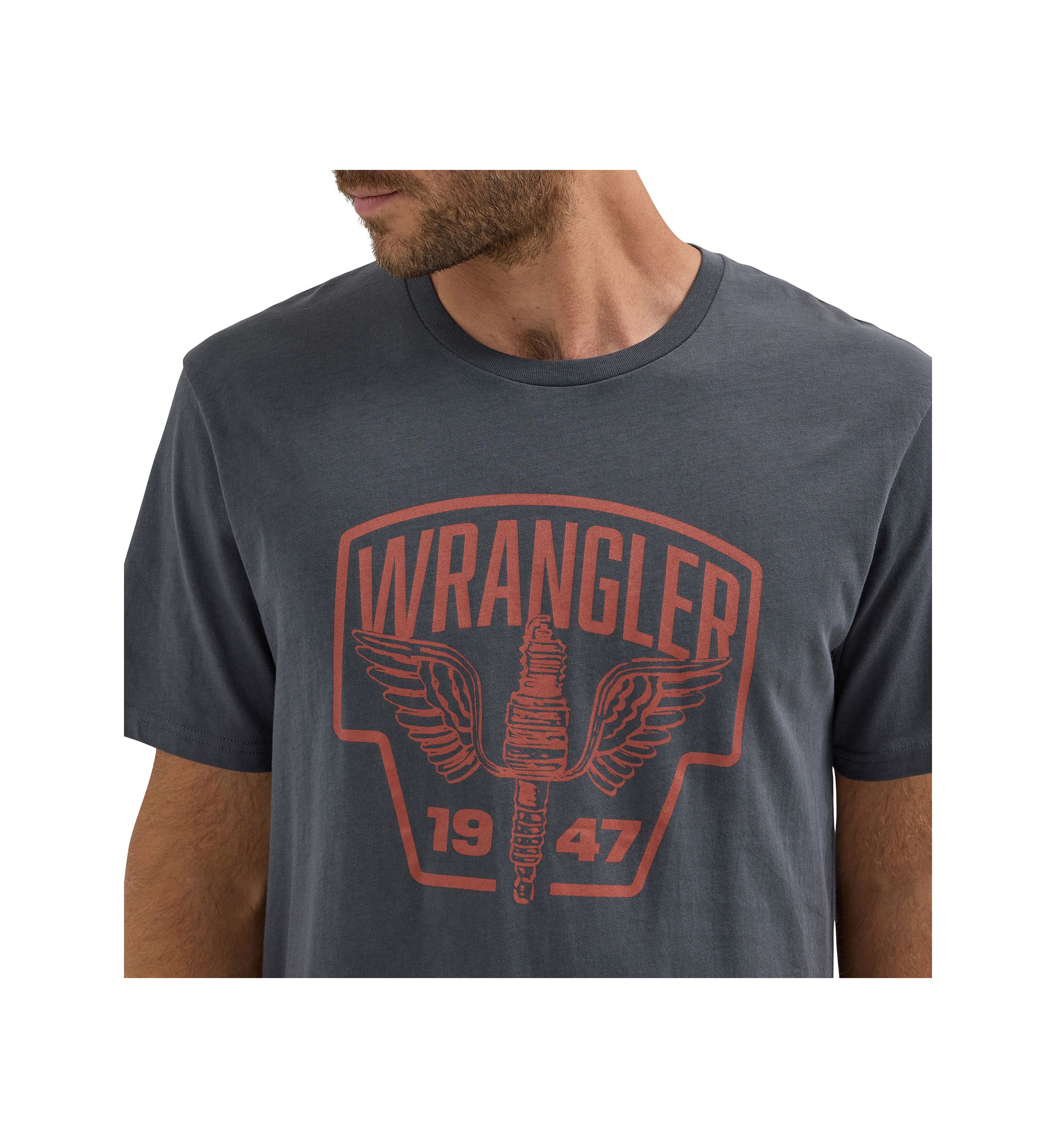 Mens Short Sleeve Graphic T-Shirt