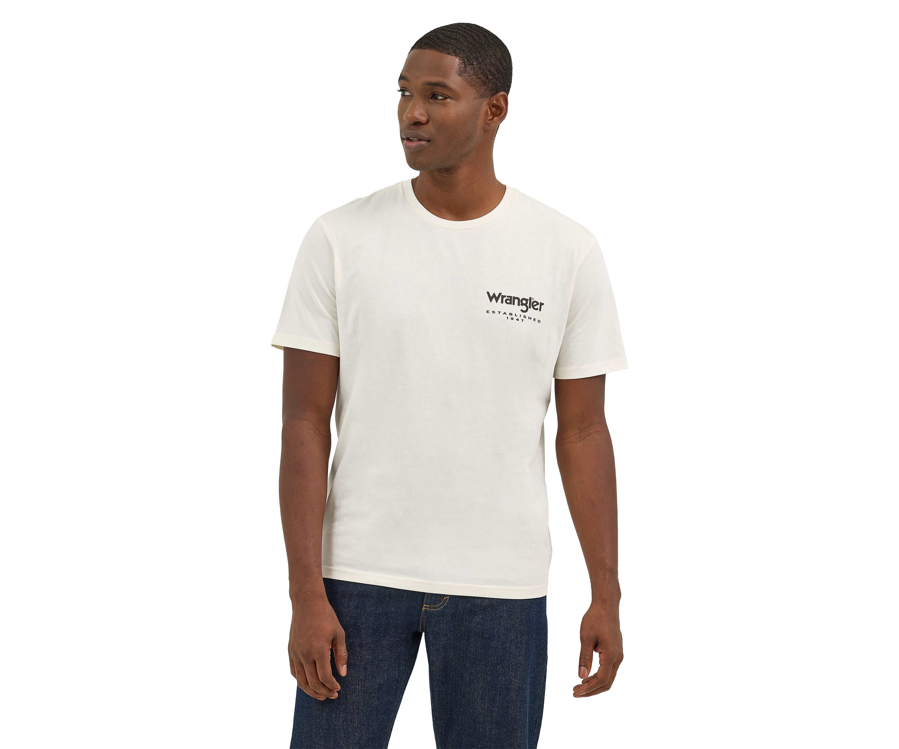 Mens Western Landscape Graphic T-Shirt