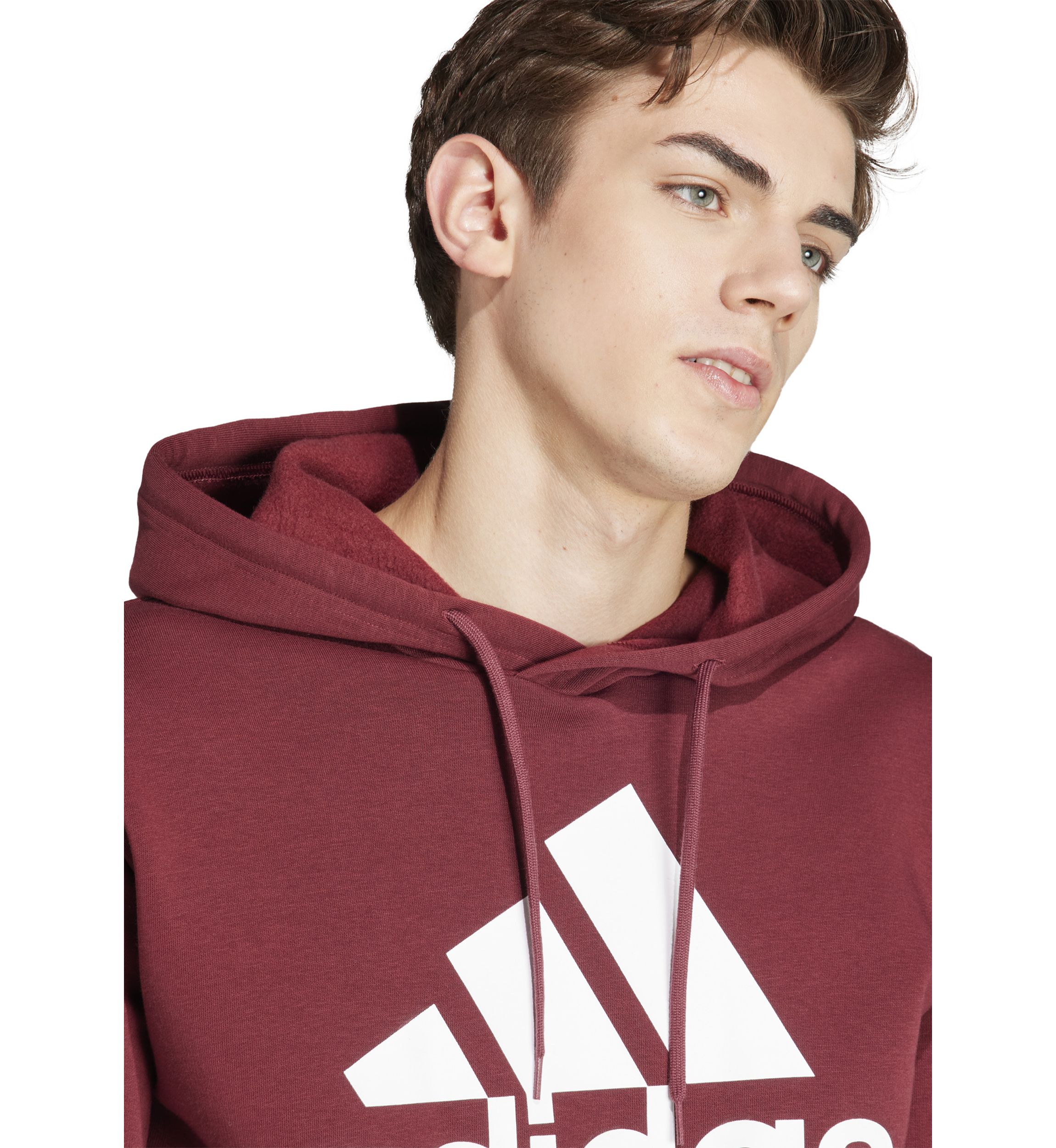 Big Logo Hoodie 