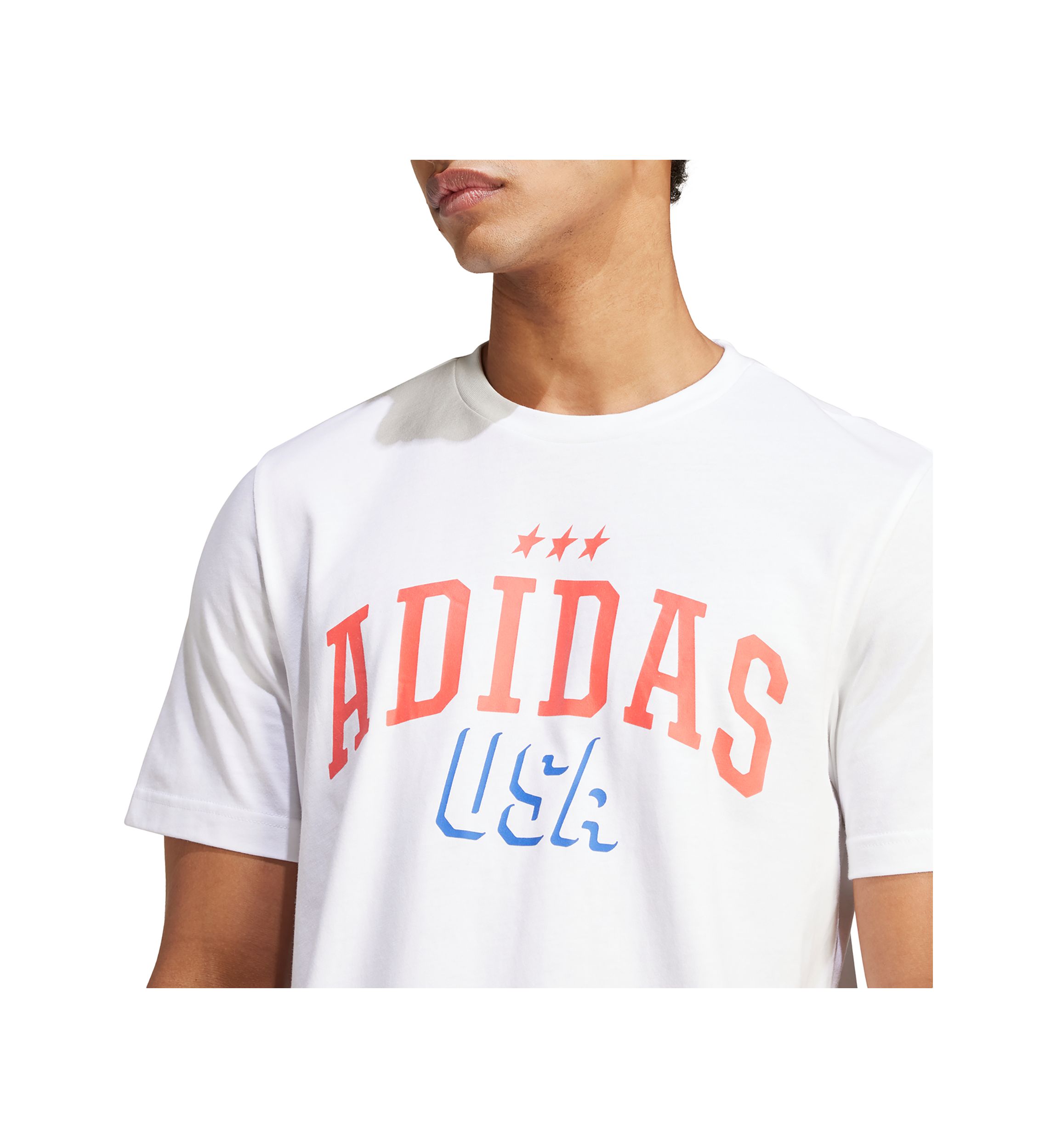 Americana Graphic T-Shirt 