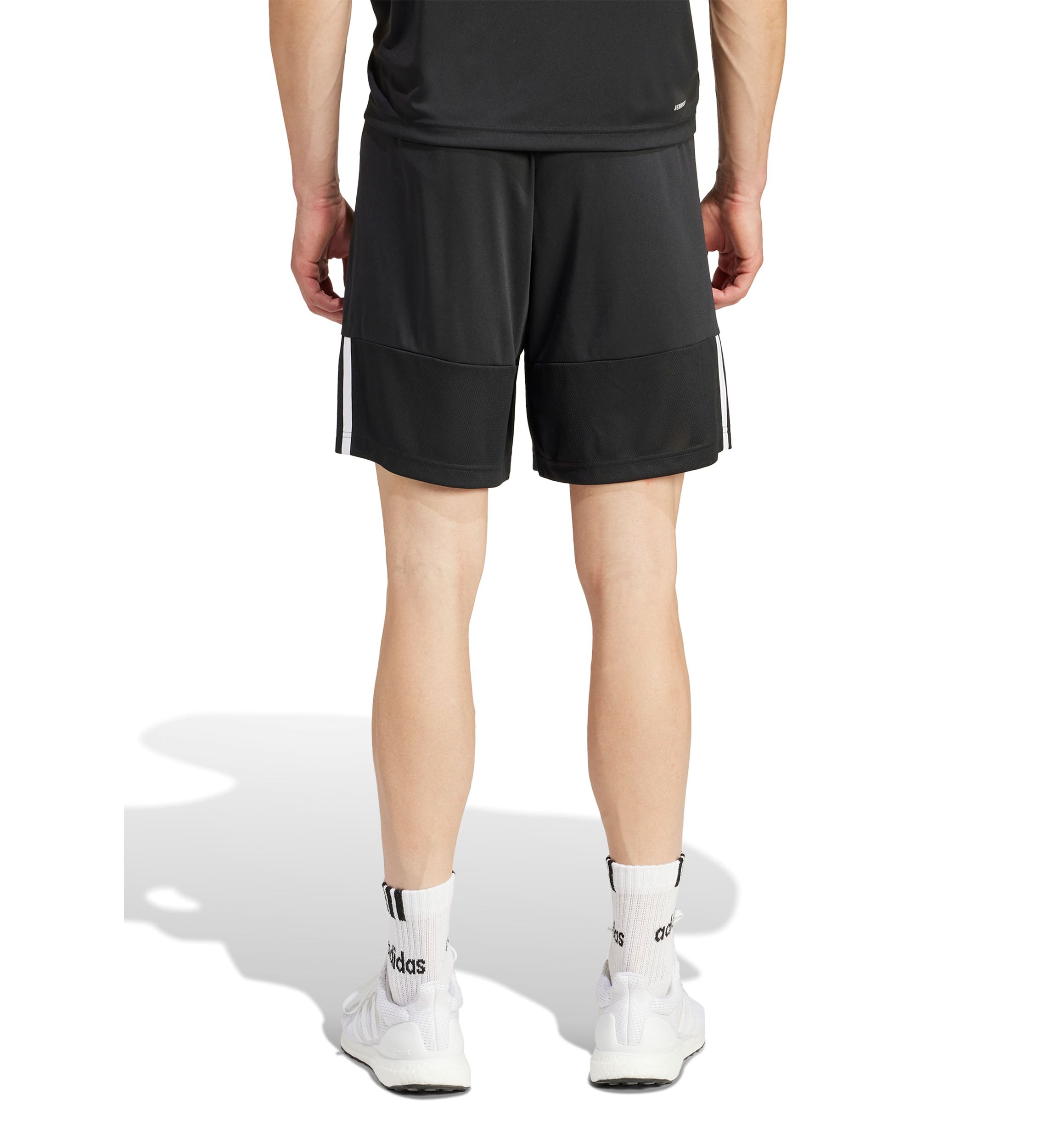 Sereno Aeroready Shorts