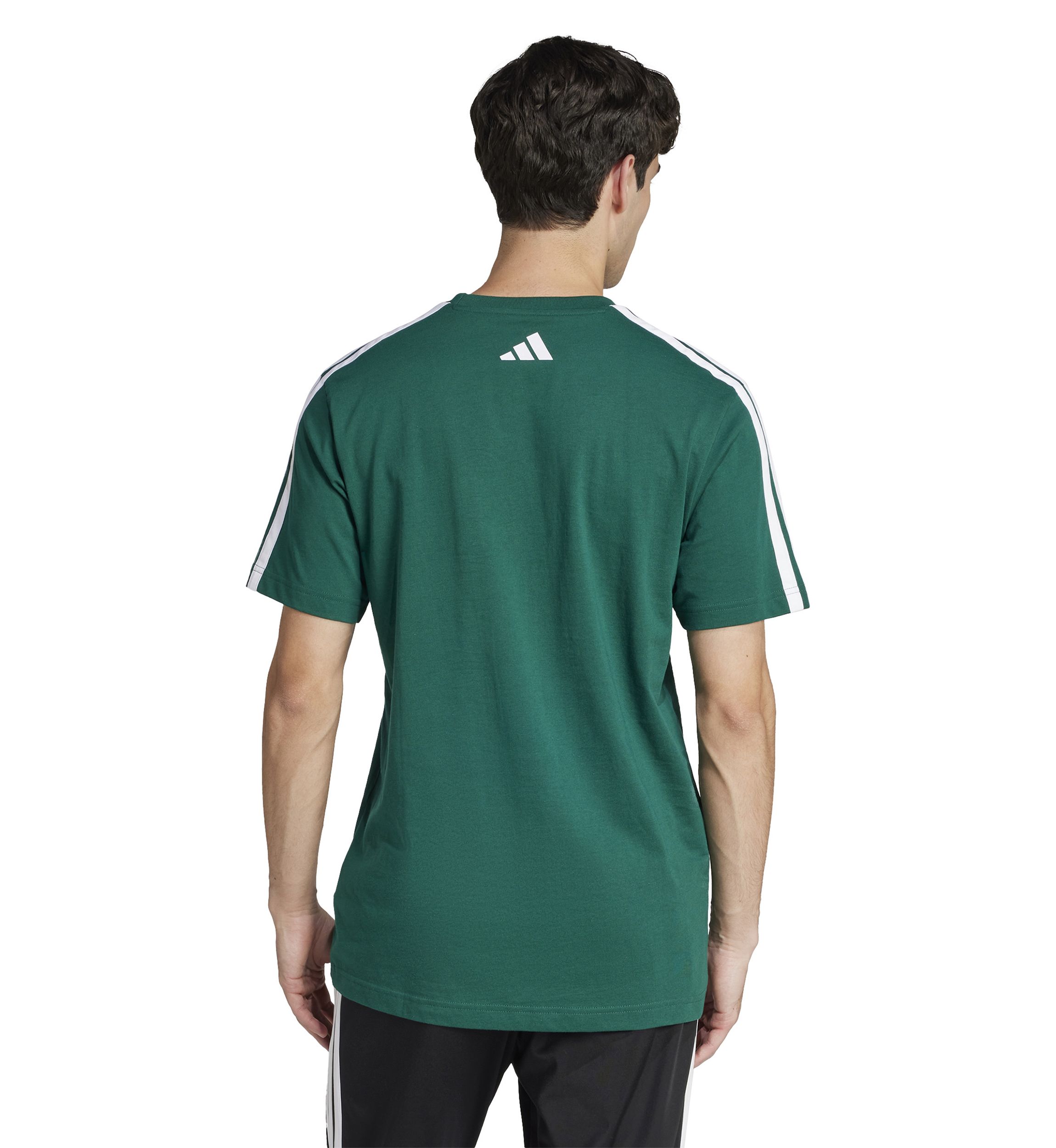 Codes Collegiate Linear Graphic T-Shirt