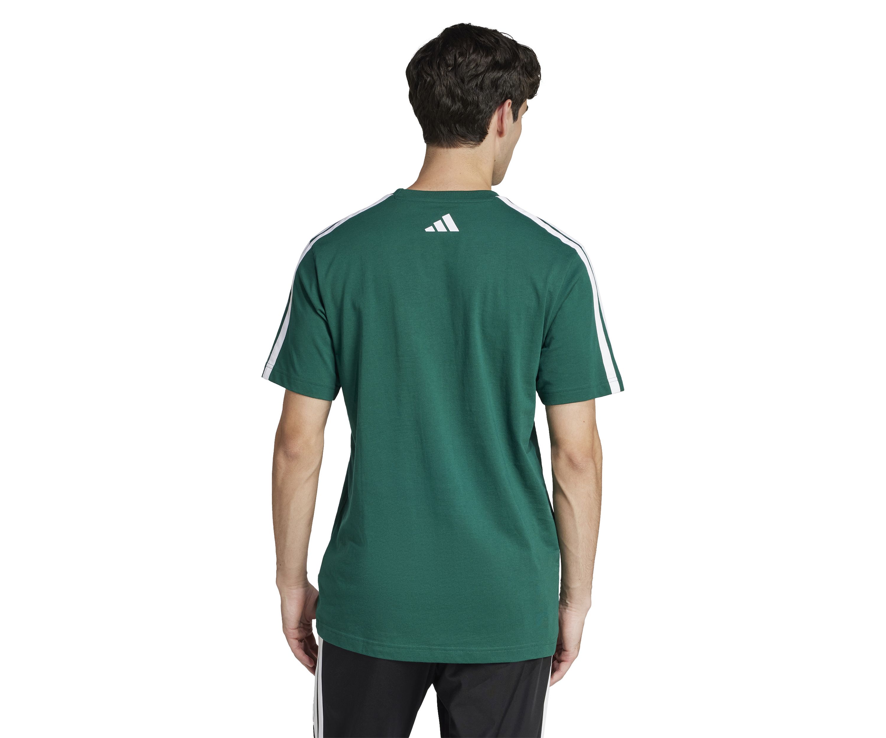 Codes Collegiate Linear Graphic T-Shirt