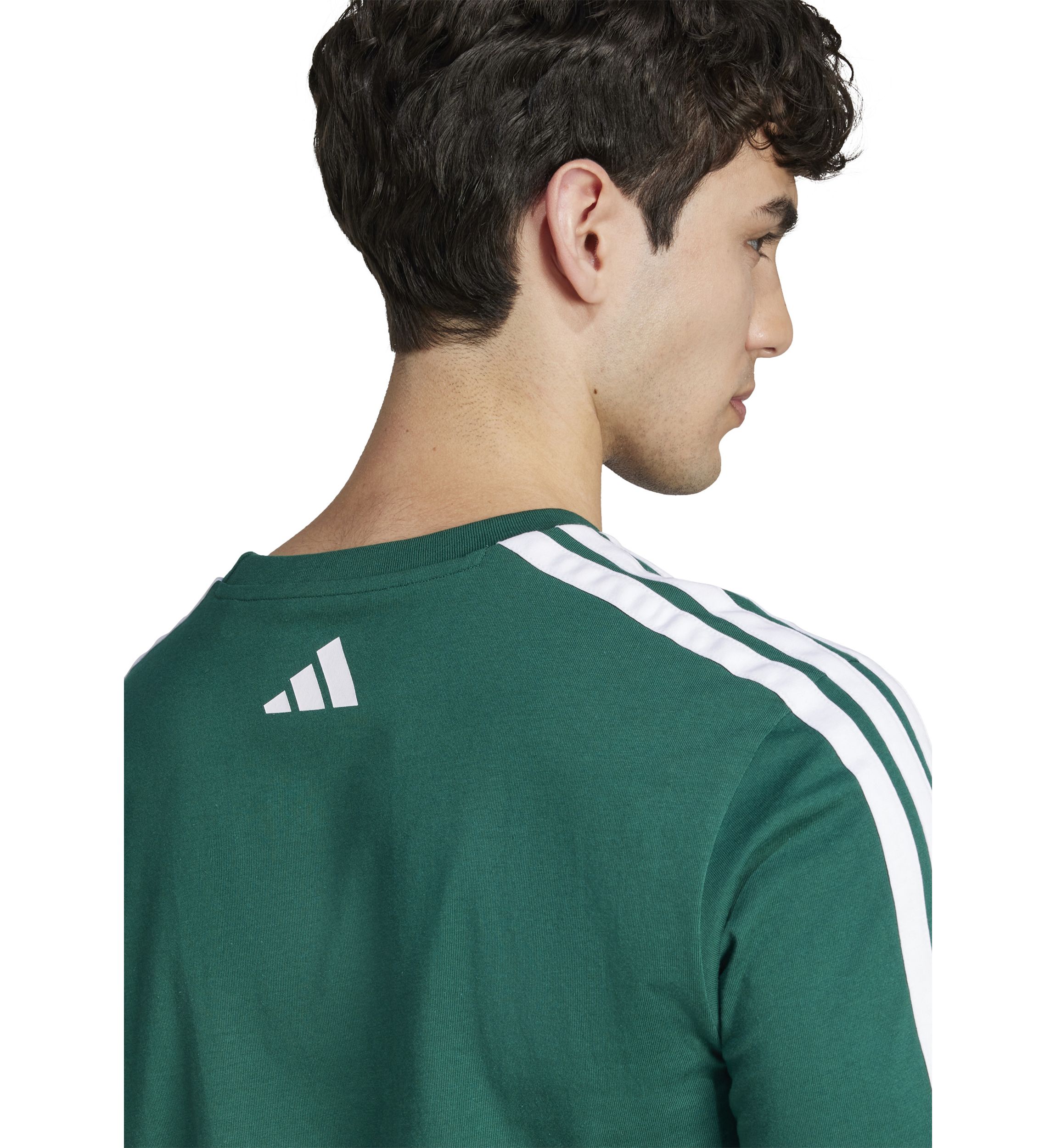 Codes Collegiate Linear Graphic T-Shirt