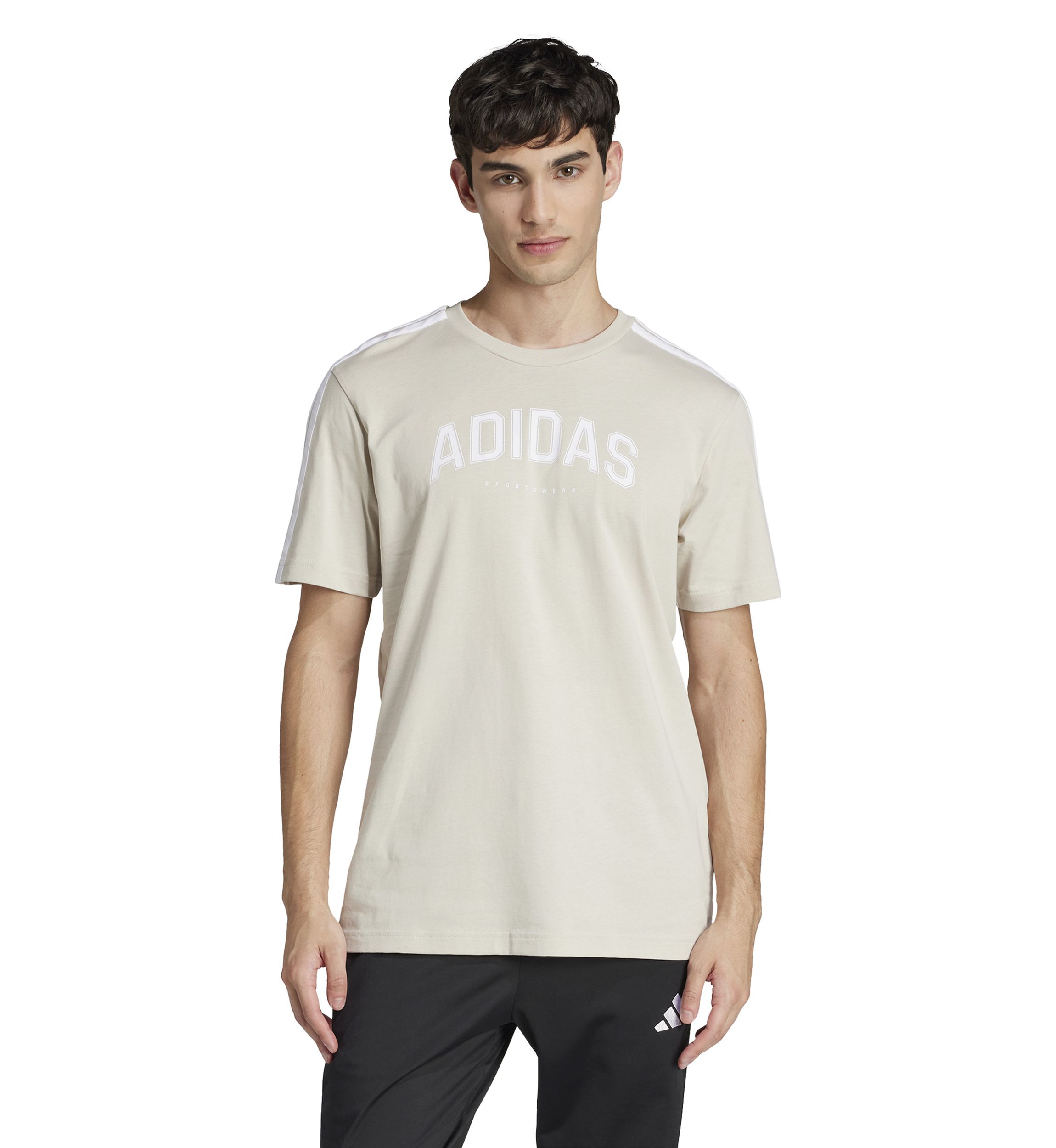 Codes Collegiate Linear Graphic T-Shirt