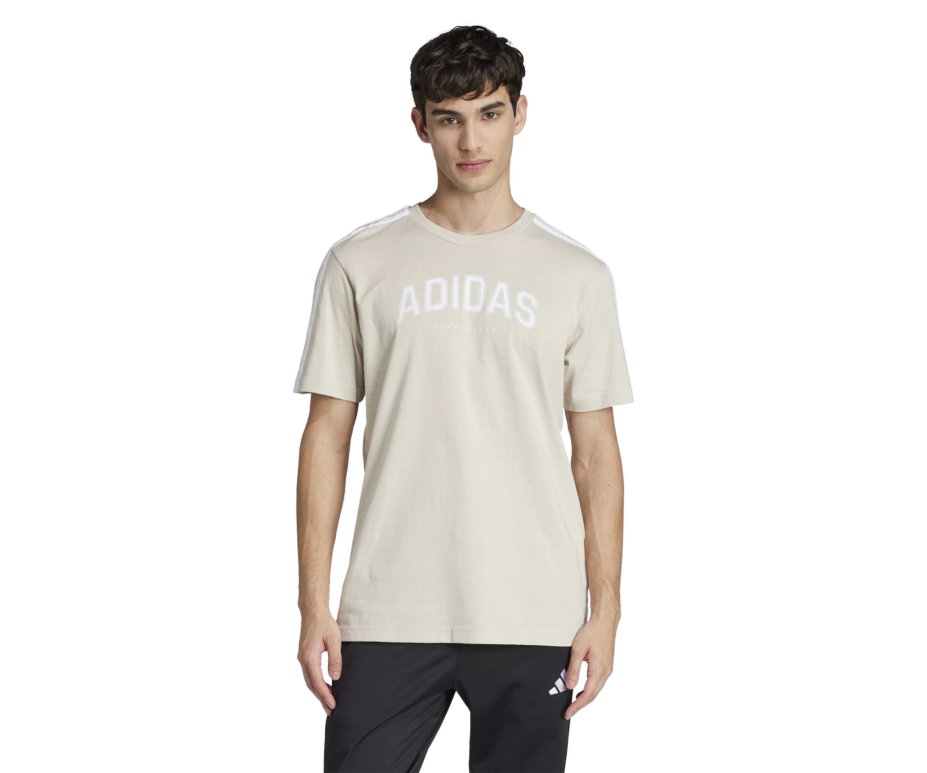 Codes Collegiate Linear Graphic T-Shirt