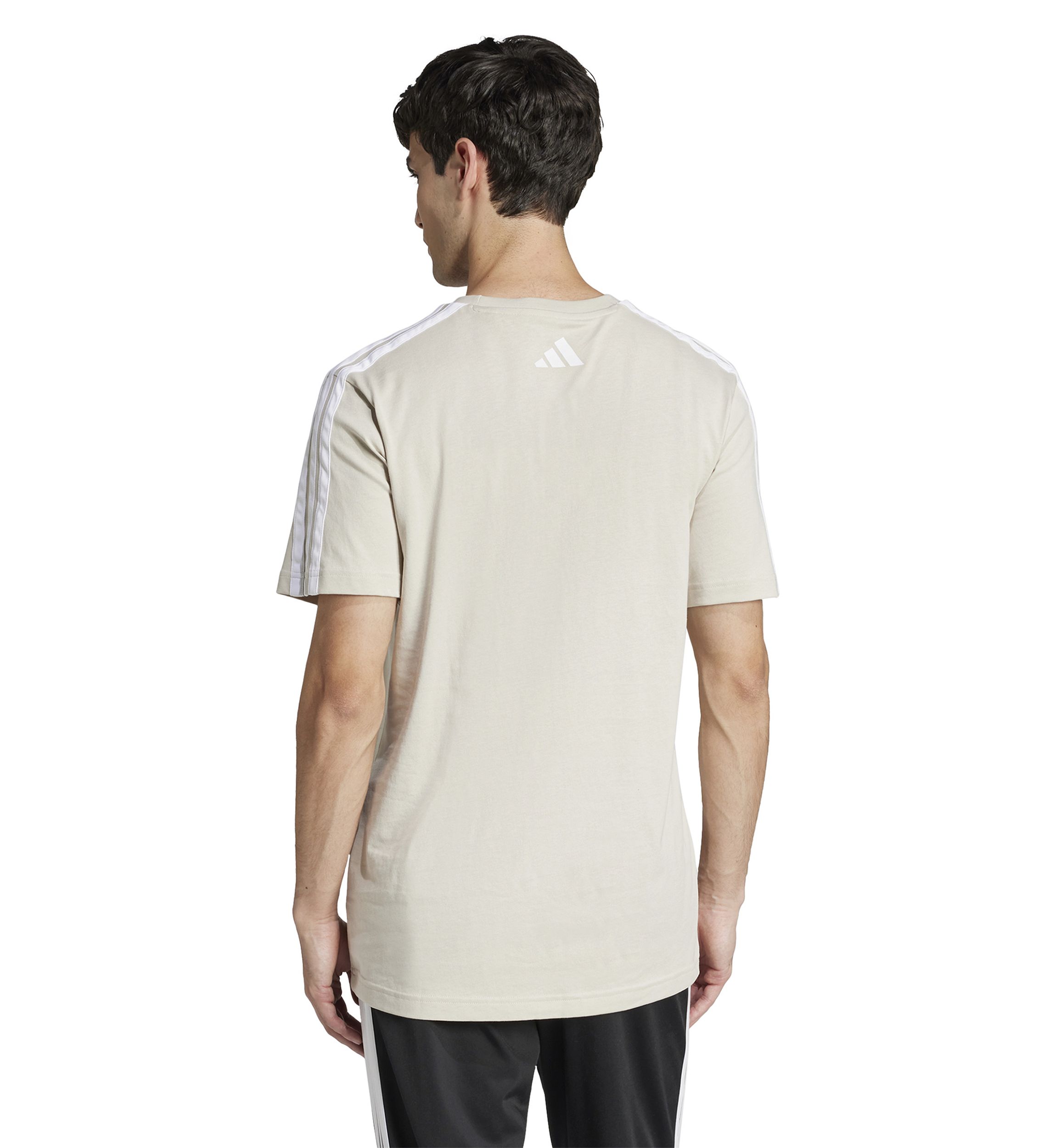 Codes Collegiate Linear Graphic T-Shirt