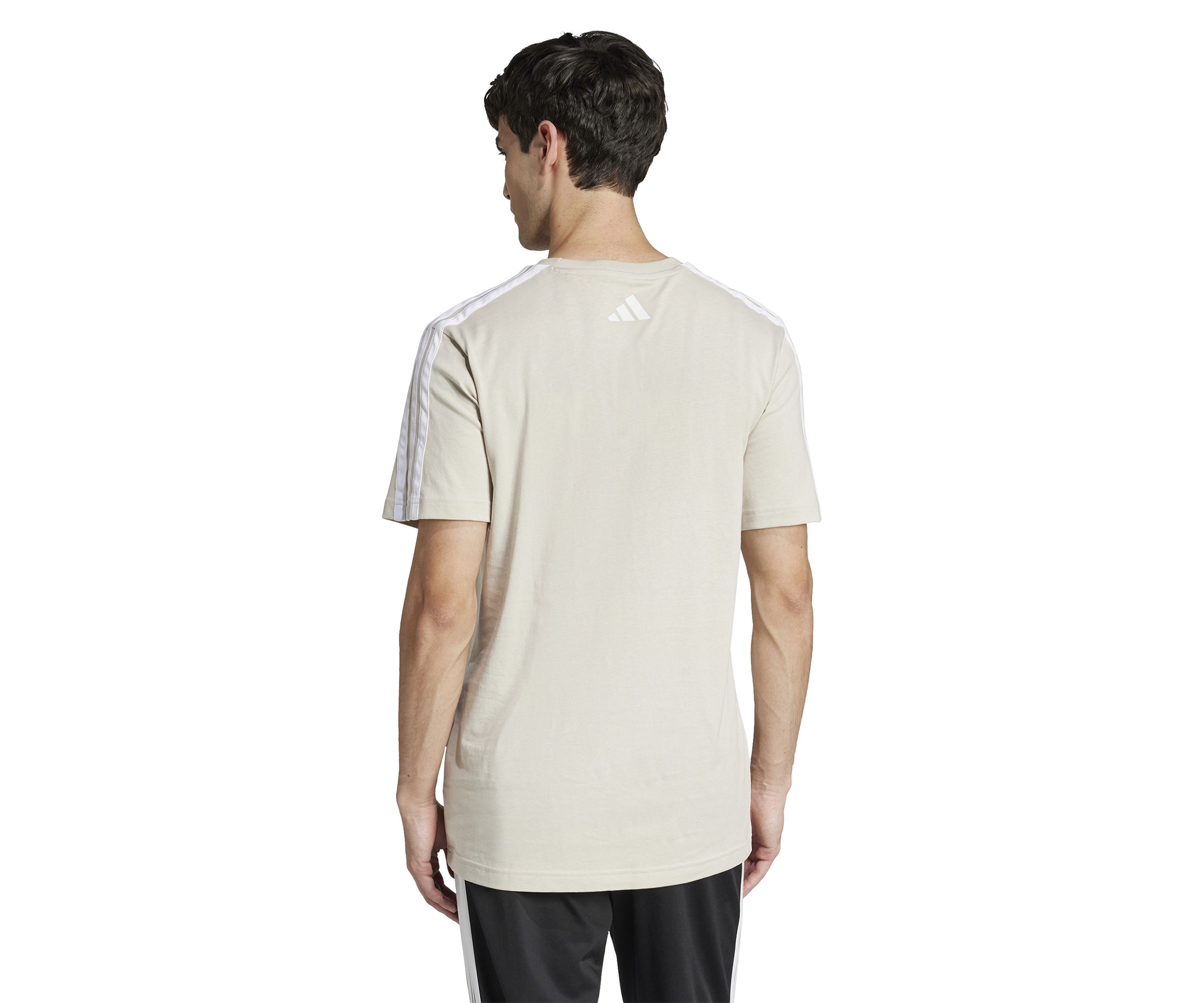 Codes Collegiate Linear Graphic T-Shirt