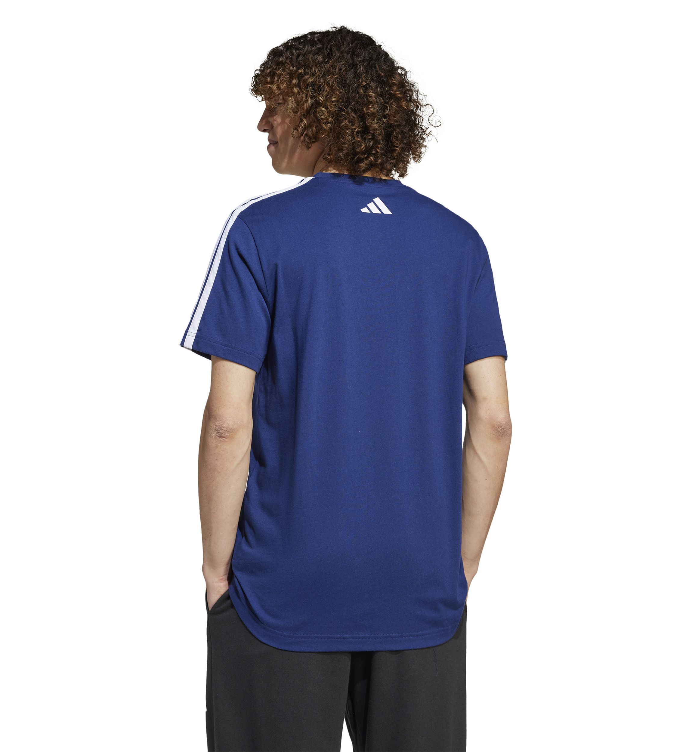 Codes Collegiate Linear Graphic T-Shirt 