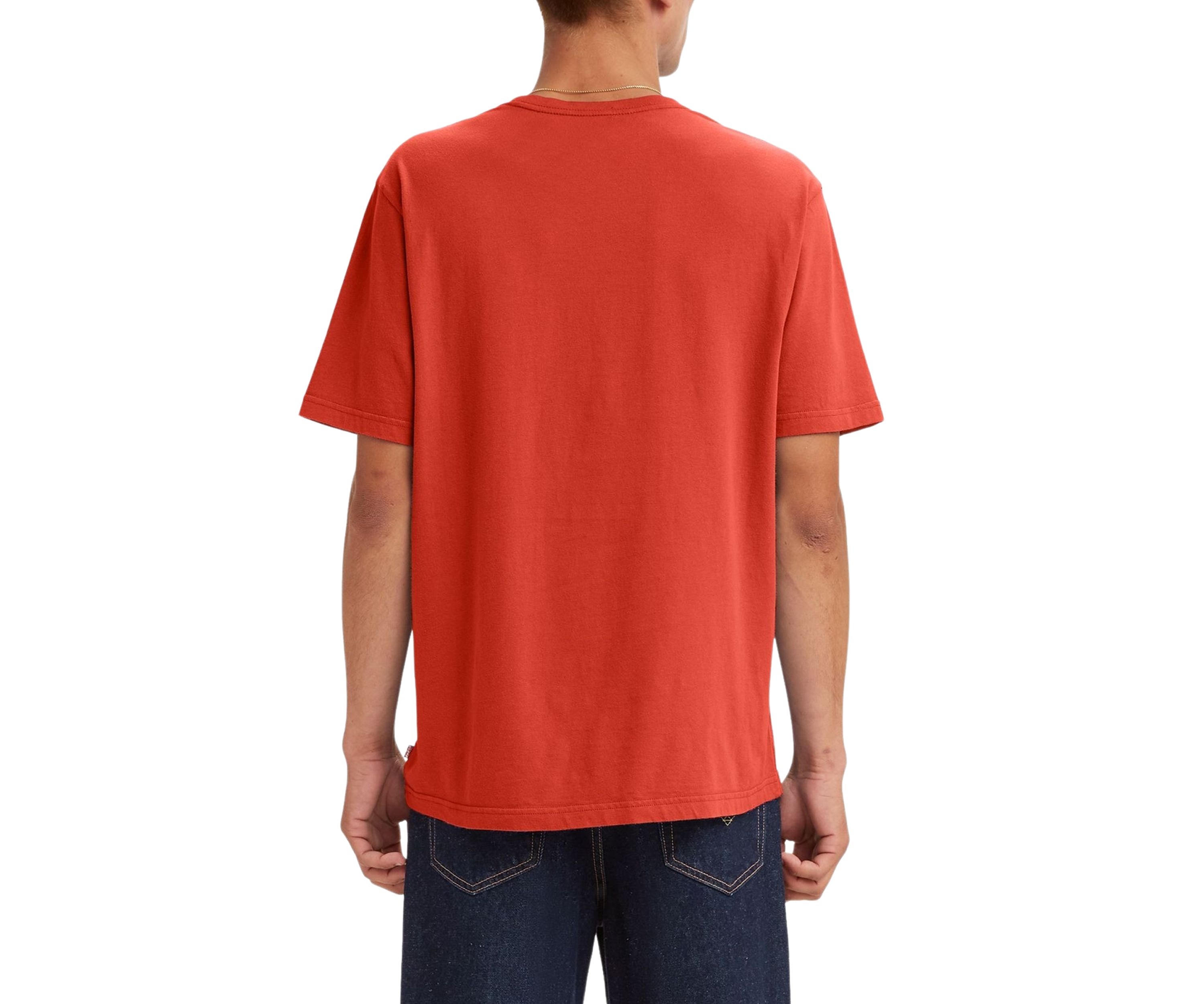 Short Sleeve Relaxed Fit Graphic T-Shirt