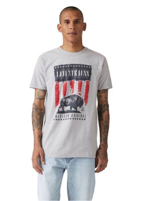 Levi's Men's Short Sleeve Relaxed Fit Graphic T-Shirt, Grey, 2XL