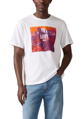 Levi's Men's Relaxed Fit Logo Graphic T-Shirt, Small