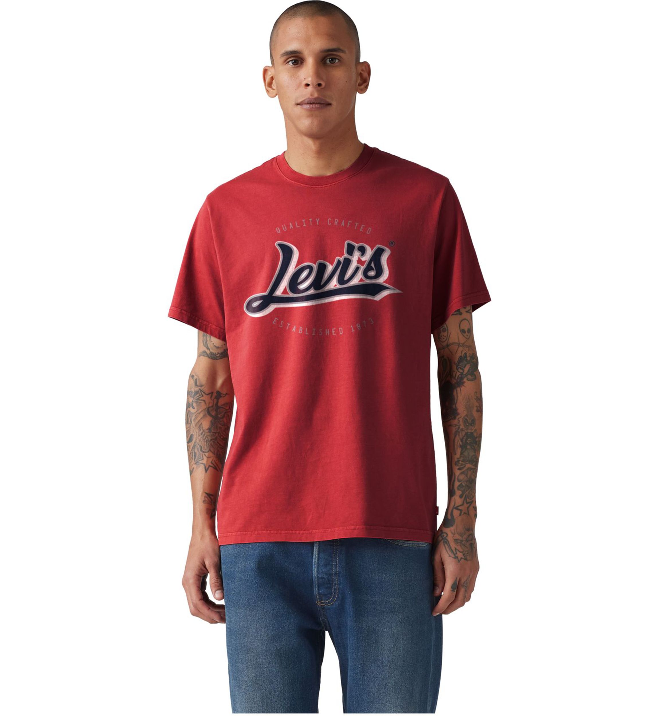 Mens Relaxed Fit Short Sleeve Graphic T-Shirt