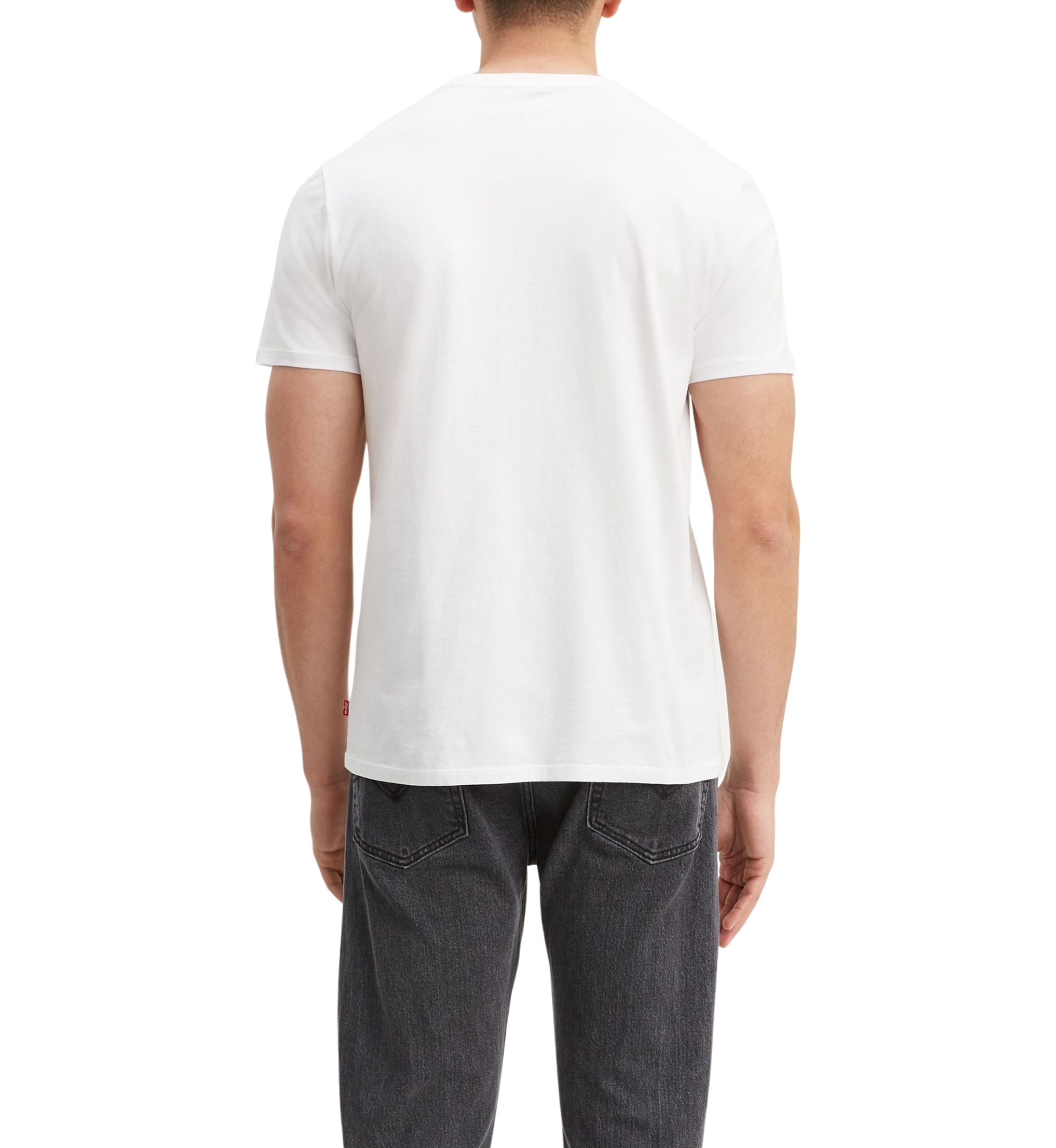 Short Sleeve Graphic T-Shirt