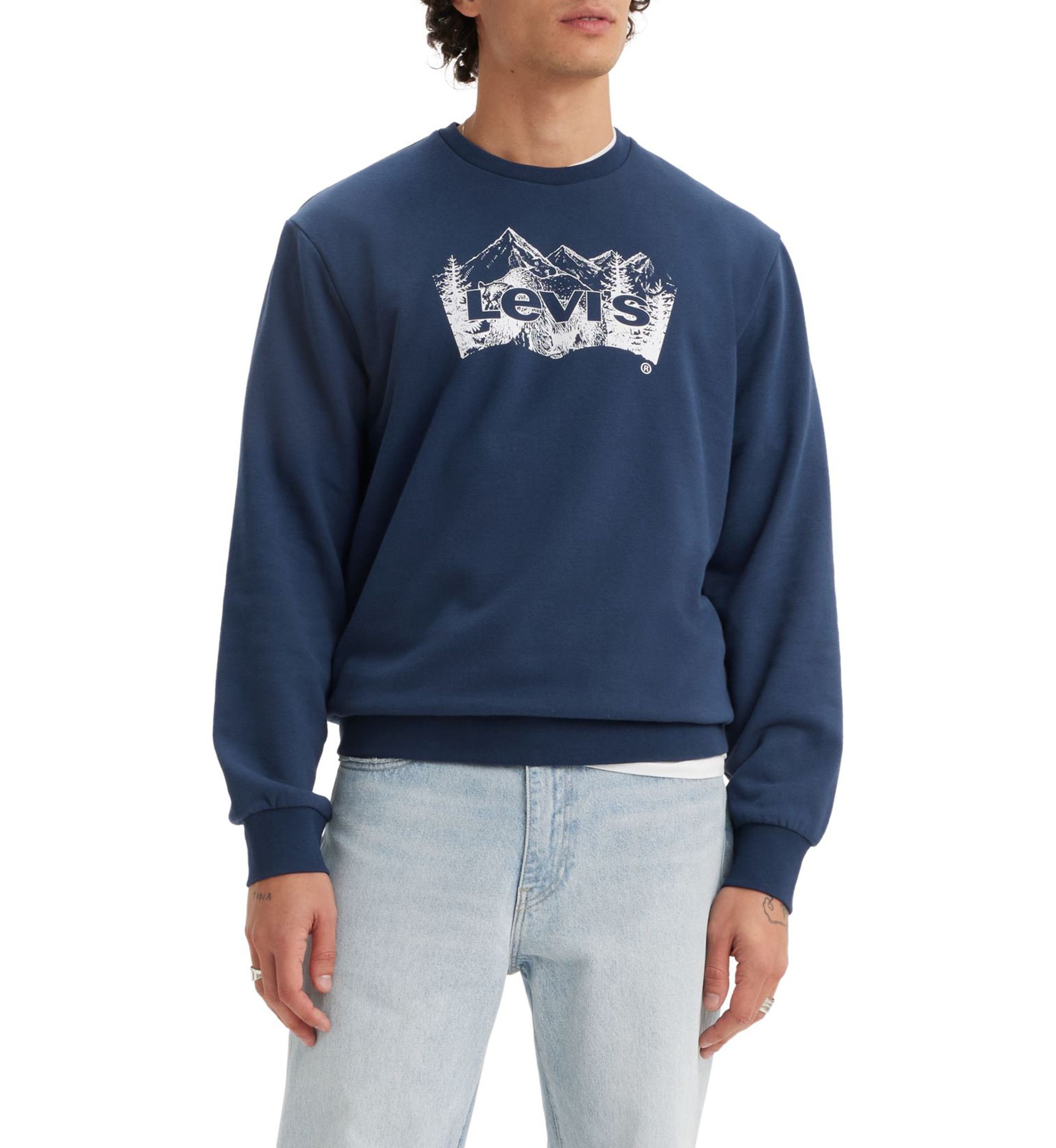 Standard Fit Graphic Crew Neck Sweatshirt 