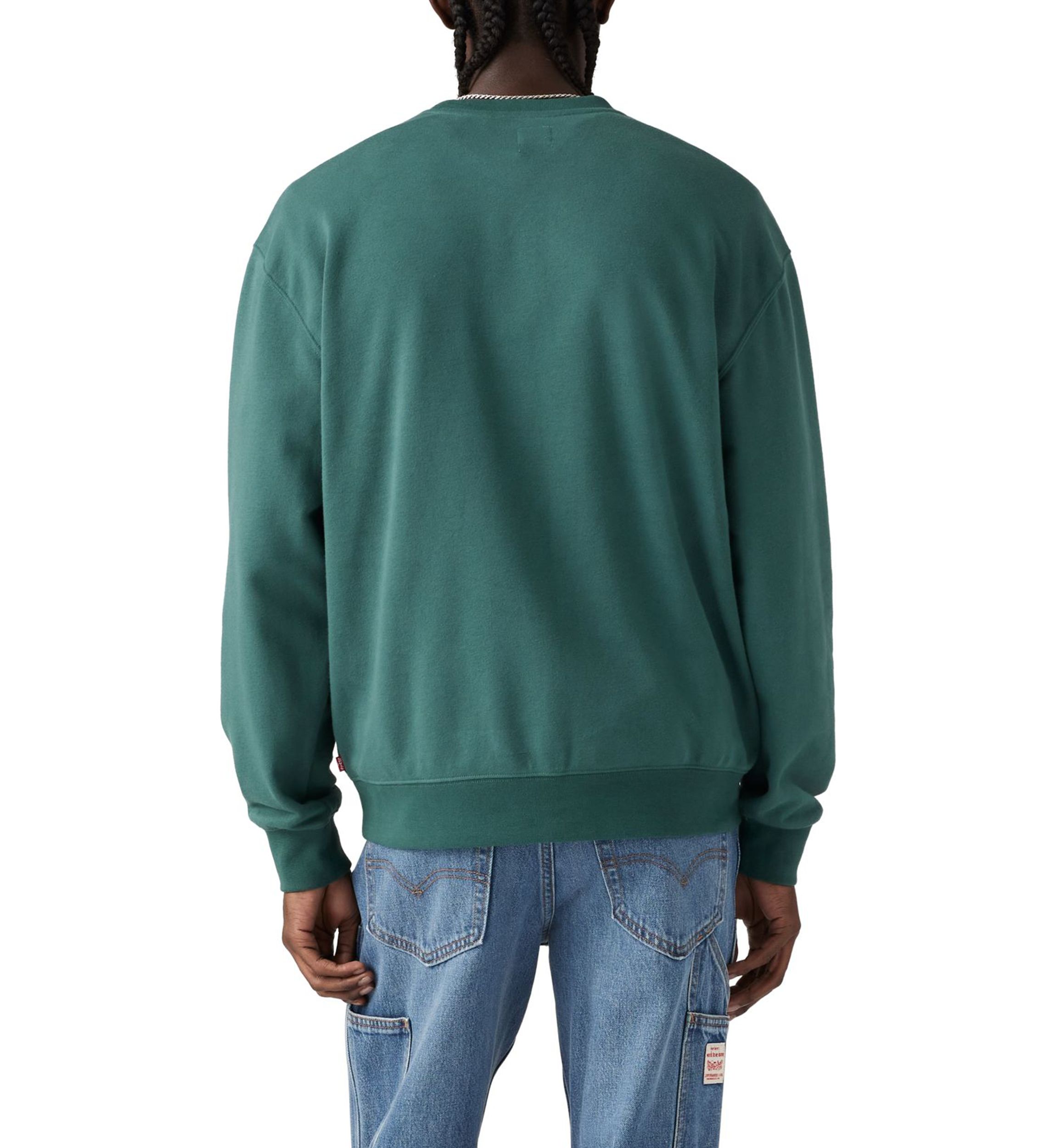 Nature Circle Graphic Pullover